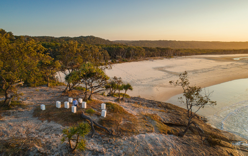 Manuka Honey Strength Guide Capilano Honey